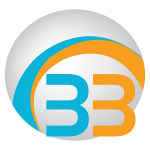 Bright Bridge Infotech-Digital Marketing Company
